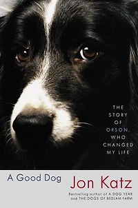 A Good Dog: The Story Of Orson, Who Changed My Life