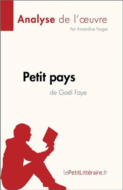 Petit pays de Gael Faye (Analyse l'oeuvre): Résumé complet et analyse détaillée l'oeuvre