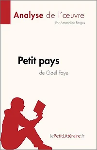 Petit pays de Gael Faye (Analyse l'oeuvre): Résumé complet et analyse détaillée l'oeuvre