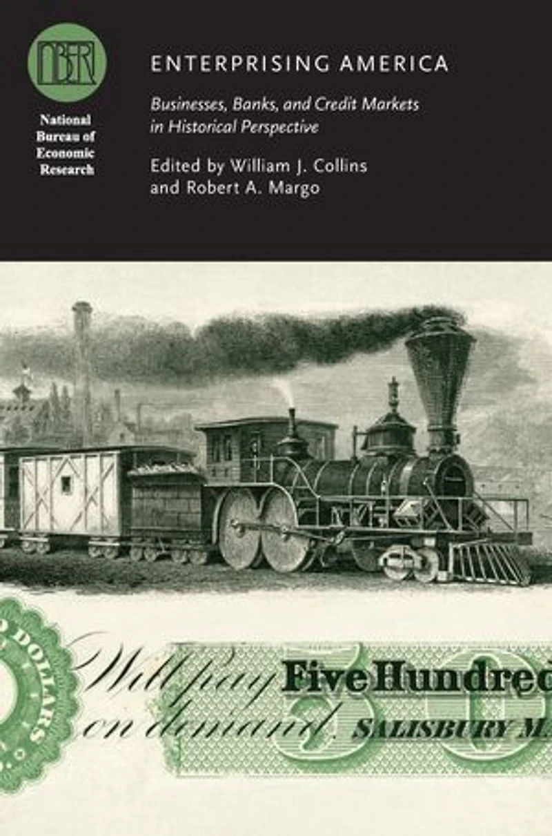 Enterprising America: Businesses, Banks, and Credit Markets in Historical Perspective