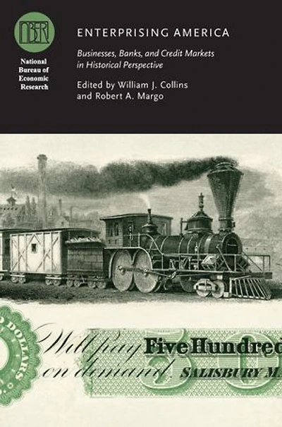 Enterprising America: Businesses, Banks, and Credit Markets in Historical Perspective