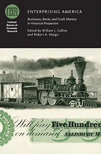 Enterprising America: Businesses, Banks, and Credit Markets in Historical Perspective