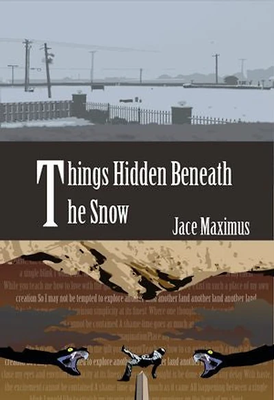 Things Hidden Beneath The Snow