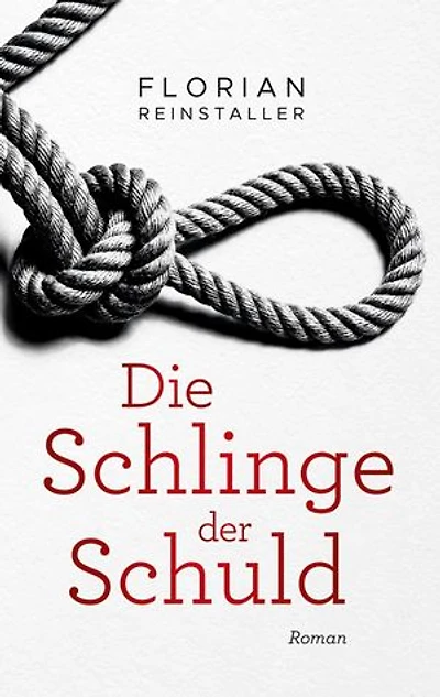 Die Schlinge der Schuld: Ein Wienkrimi (Der zweite Fall von Voigt & Novak)