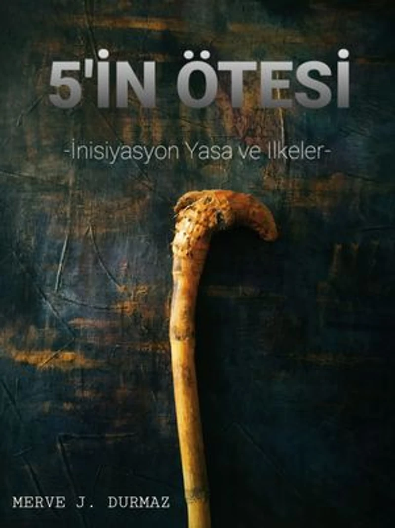 5'İN ÖTESİ: -İNİSİYASYON YASA VE İLKELER-