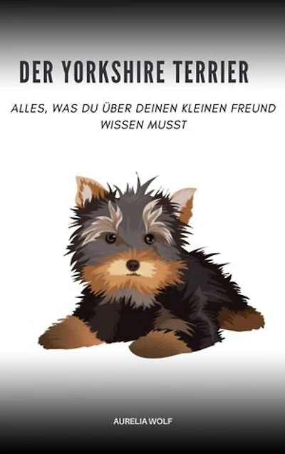 Der Yorkshire Terrier: Alles, was du über deinen kleinen Freund wissen musst