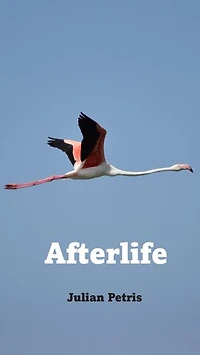 Afterlife