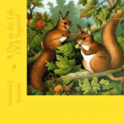 A Day in the Life Of A Squirrel