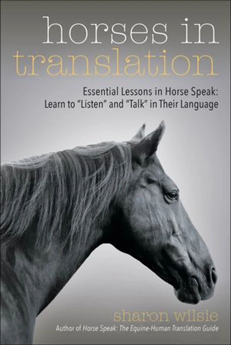 Horses Translation: Essential Lessons Horse Speak