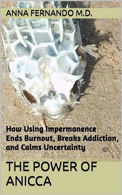The Power of Anicca: Reigniting Love for Uncertainty and Letting Go of Addiction to Control