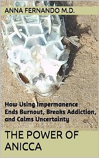 The Power of Anicca: Reigniting Love for Uncertainty and Letting Go of Addiction to Control