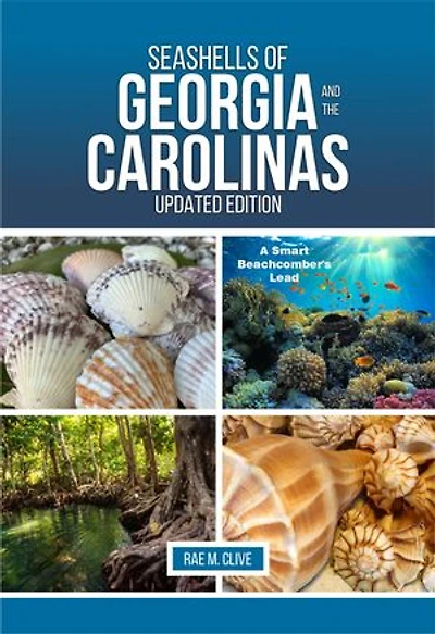 SEASHELLS OF GEORGIA AND THE CAROLINAS UPDATED EDITION: A Smart Beachcomber’s Lead