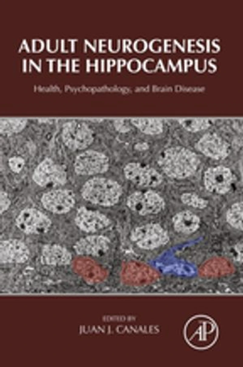 Adult Neurogenesis The Hippocampus: Health, Psychopathology, And Brain Disease