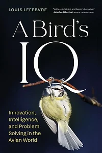 A Bird's IQ: Innovation, Intelligence, and Problem Solving the Avian World