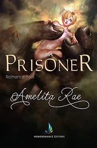 Prisonnier (Romance Gay): Livre gay, Roman gay