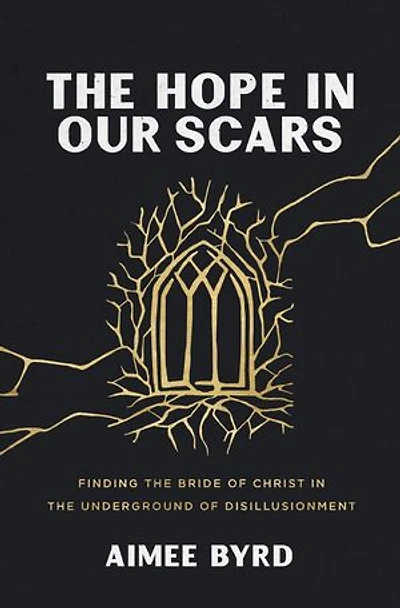 the Hope Our Scars: Finding Bride of Christ Underground Disillusionment