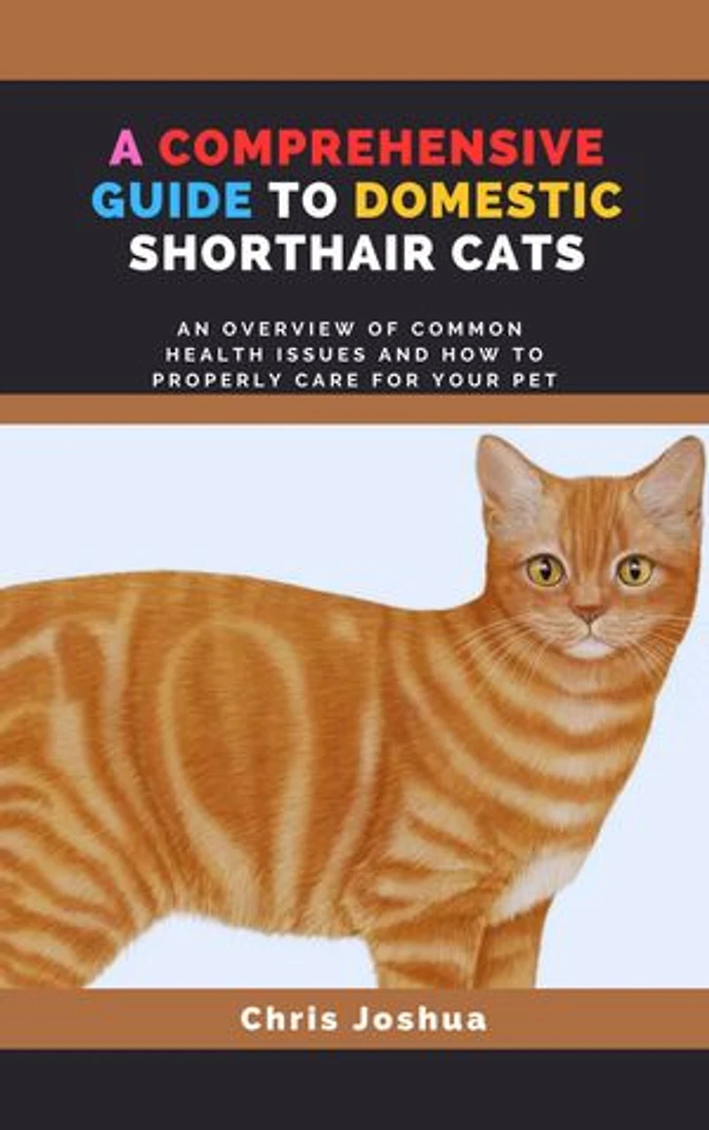 A COMPREHENSIVE GUIDE TO DOMESTIC SHORTHAIR CATS: An Overview Of Common Health Issues And How To Properly Care For Your Pet