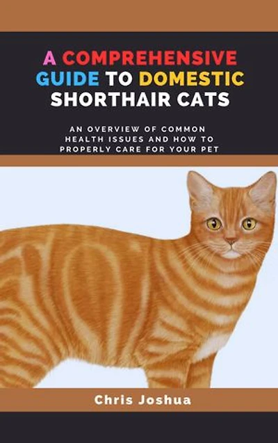 A COMPREHENSIVE GUIDE TO DOMESTIC SHORTHAIR CATS: An Overview Of Common Health Issues And How To Properly Care For Your Pet