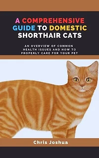 A COMPREHENSIVE GUIDE TO DOMESTIC SHORTHAIR CATS: An Overview Of Common Health Issues And How To Properly Care For Your Pet