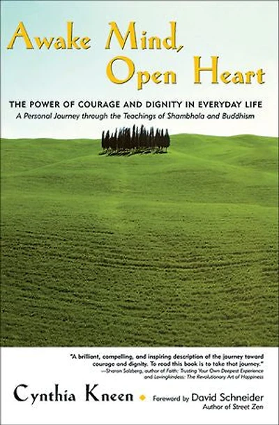 Awake Mind, Open Heart: The Power of Courage and Dignity in Everyday Life