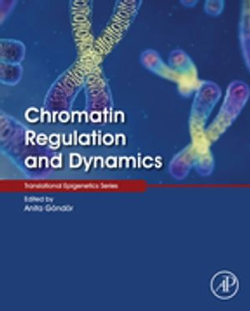 Chromatin Regulation And Dynamics