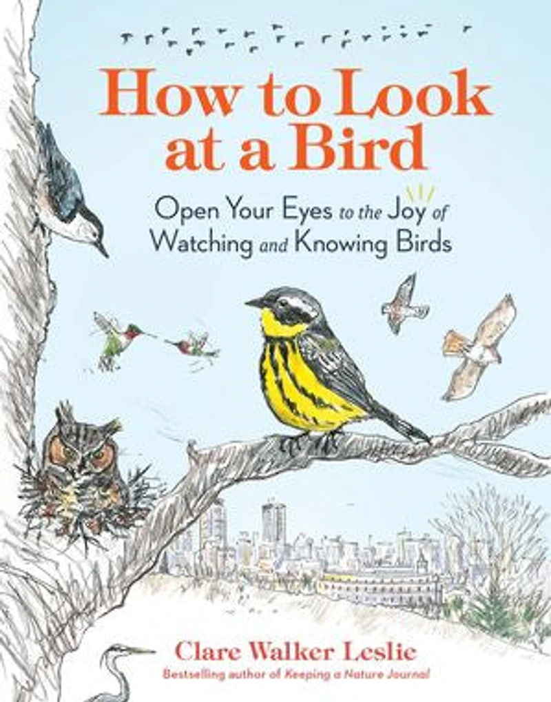 How to Look at a Bird: Open Your Eyes the Joy of Watching and Knowing Birds