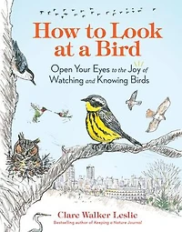 How to Look at a Bird: Open Your Eyes the Joy of Watching and Knowing Birds
