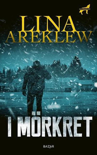 I mörkret