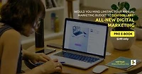 Digital Branding: Ask bAD boyZ