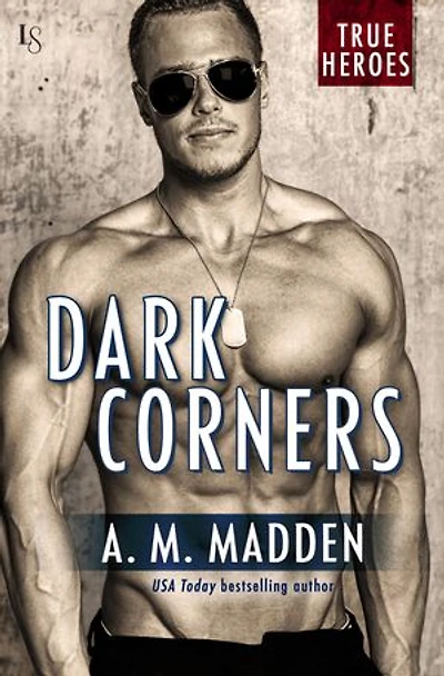 Dark Corners: A True Heroes Novel