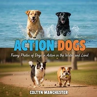 Action Dogs: Funny Photos of Dogs in Action in the Water and on Land
