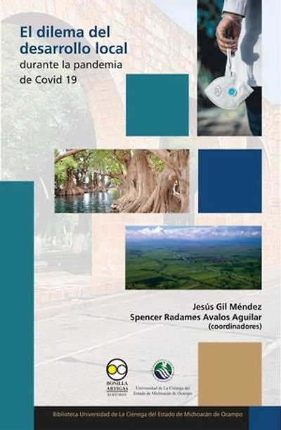 El dilema del desarrollo local durante la pandemia de Covid 19