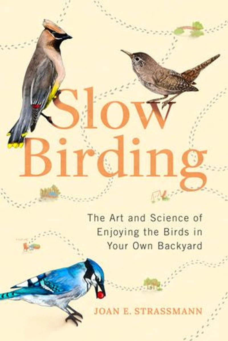 Slow Birding: The Art And Science Of Enjoying Birds Your Own Backyard