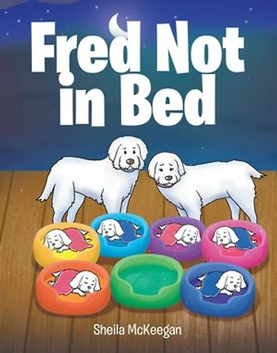 Fred Not Bed