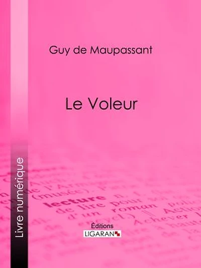 Le Voleur