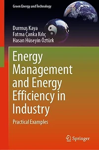 Energy Management and Efficiency Industry: Practical Examples