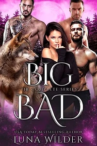 Big Bad: La serie completa
