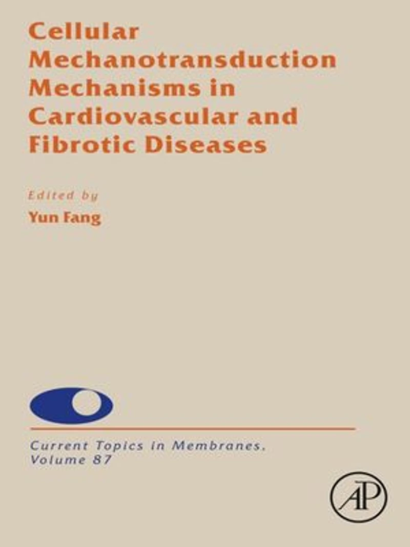 Cellular Mechanotransduction Mechanisms Cardiovascular And Fibrotic Diseases