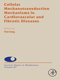 Cellular Mechanotransduction Mechanisms Cardiovascular And Fibrotic Diseases