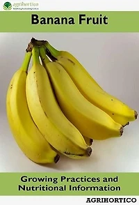 Banana: Growing Practices and Nutritional Information