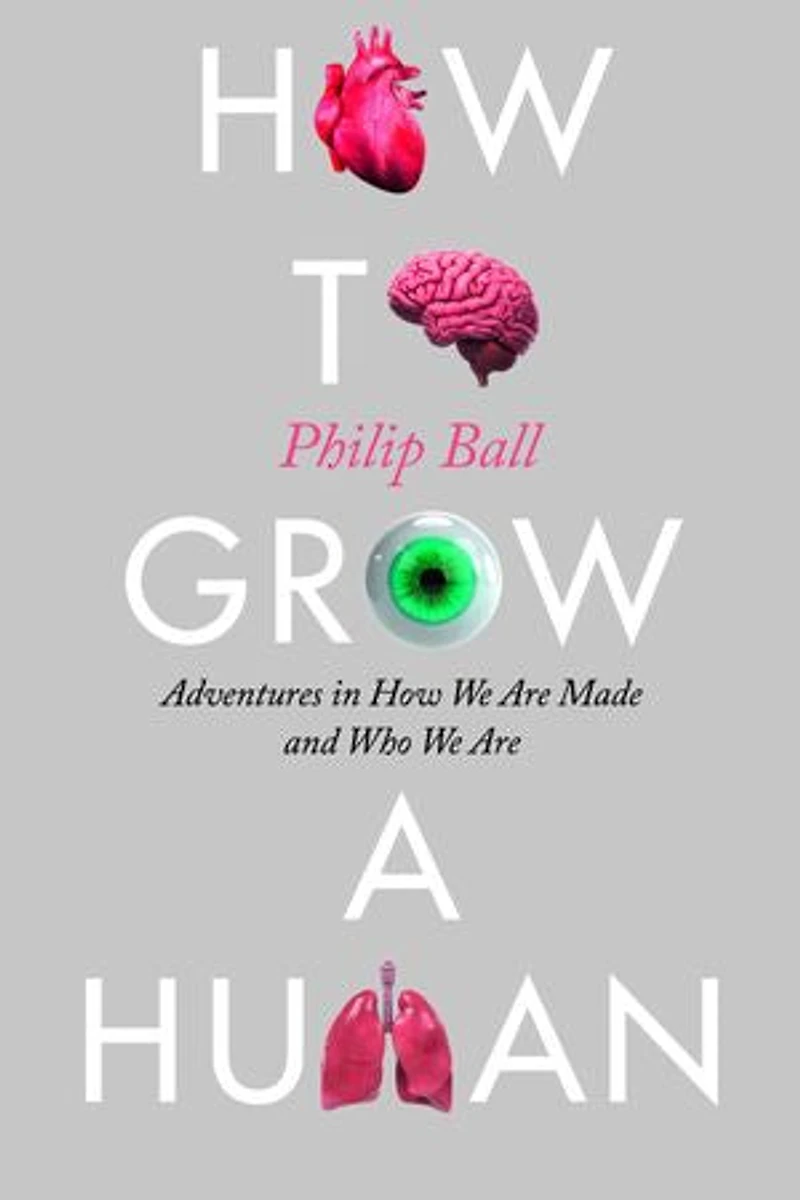 How to Grow a Human: Adventures We Are Made and Who