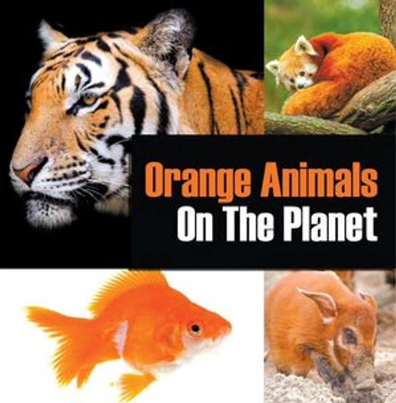 Orange Animals On The Planet: Animal Encyclopedia for Kids