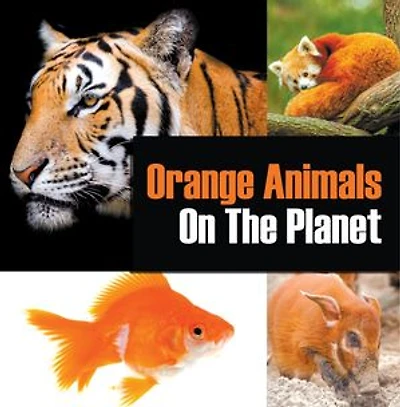 Orange Animals On The Planet: Animal Encyclopedia for Kids