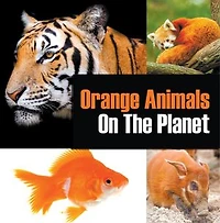 Orange Animals On The Planet: Animal Encyclopedia for Kids