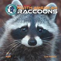 All About North American Raccoons