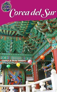 Corea del Sur: Voyage Experience
