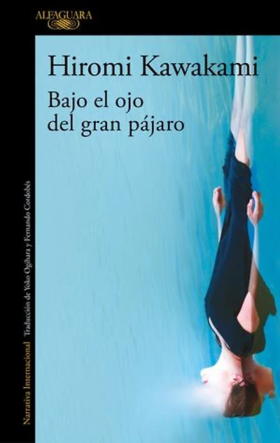Bajo el ojo del gran pájaro
