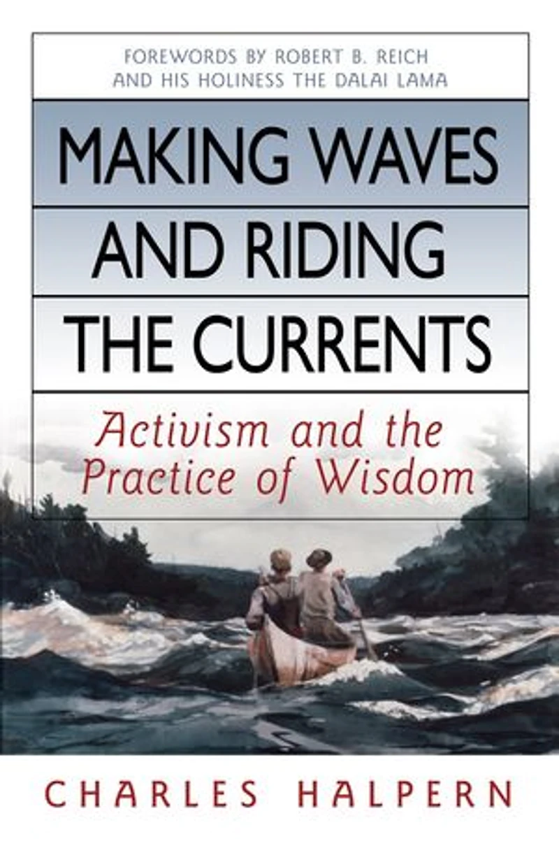 Making Waves and Riding the Currents: Activism Practice of Wisdom