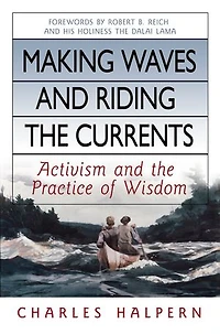 Making Waves and Riding the Currents: Activism Practice of Wisdom