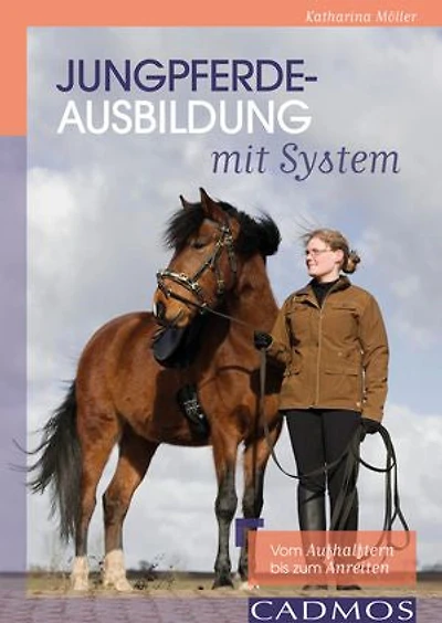 Jungpferdeausbildung mit System: Vom Aufhalftern bis zum Anreiten